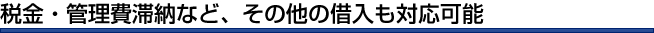税金・管理費滞納など、その他の借入も対応可能